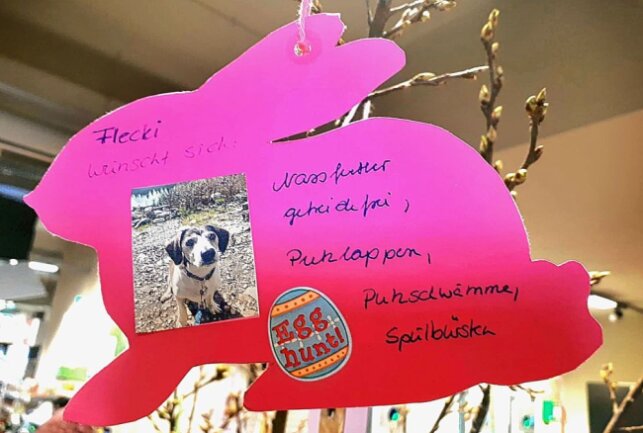 Spendenaktion: Osterbaum mit vielen Wunschzetteln für die Tiere - Ein Wunschzettel. Foto: Maik Bohn