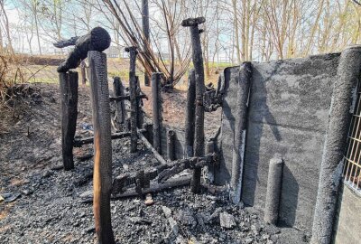 Spielplatz und Strommast brennen in Zwickau nieder - In Zwickau brannte ein Spielplatz-Gerüst, ein Strommast sowie angrenzende Bäume und Sträucher. Foto: Mike Müller