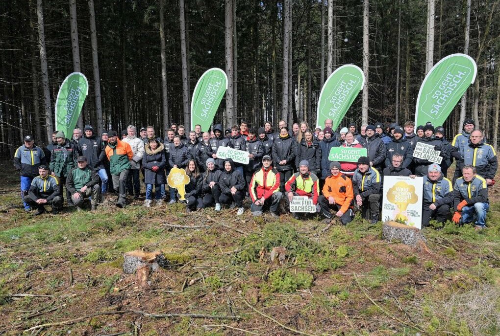 Sportvereine bringen Baumsetzlinge in die Erde - Bei der Pflanzaktion haben Vertreter von vier Vereinen mit angepackt. Foto: Ralf Wendland