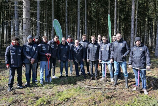 Sportvereine bringen Baumsetzlinge in die Erde - Bei der Pflanzaktion haben Vertreter von vier Vereinen mit angepackt - auch der FSV Zwickau. Foto: Ralf Wendland