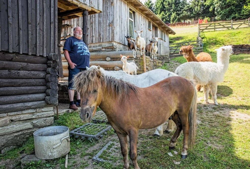 Streckewalder Züchter laden zum Sommerfest - Uwe Göldner hat auf seinem Hof auch Ponys, Ziegen und Alpacas. Foto: Jan Görner