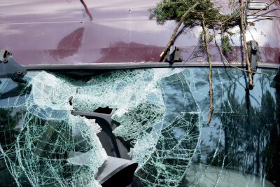 Sturm und Unwetter: So bleiben Sie und Ihr Auto sicher - Herabfallende Äste können ein parkendes Auto schwer beschädigen.