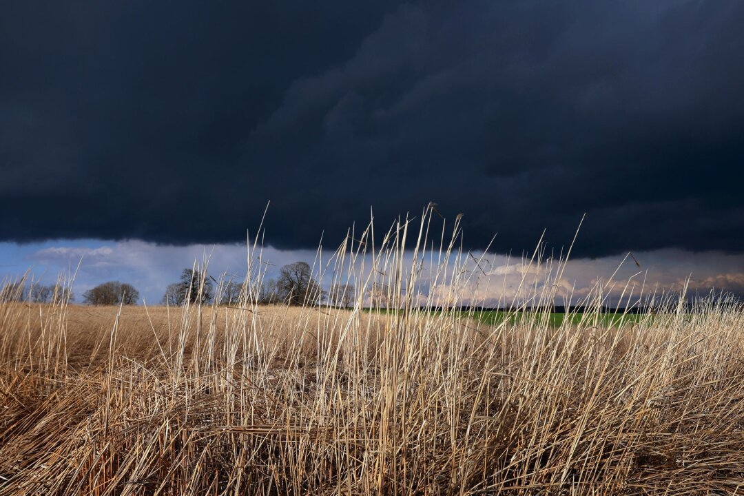 Sturmböen und Gewitter: Bahnverkehr eingeschränkt - Gewitterwolken ziehen über ein Feld: Das Wetter am Abend ist durchwachsen.