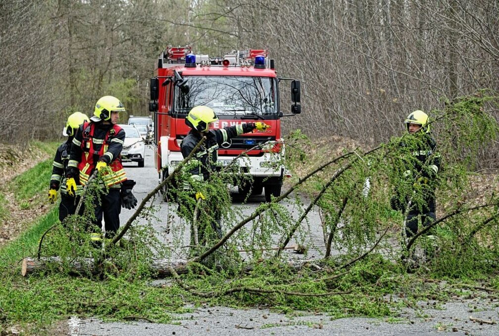 In Chemnitz Weiser Weg ist durch den Sturm ein Großer Baum umgeknickt und blockierte die Straße. Foto: ChemPic