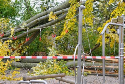 Sturmschäden in Leipziger Parks und Wäldern: Auch Spielplätze gesperrt - Sturmschäden auf einem Spielplatz im Leipziger Stünzer Park. Foto: Anke Brod