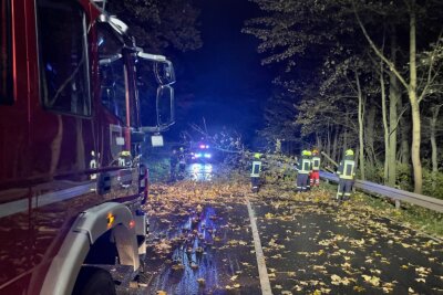 In Lößnitz musste heute Nacht die Feuerwehr auf die Auer Straße ausrücken. 