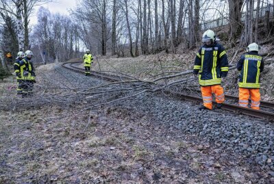Sturmtief Ulf: Baum drohte auf Gleis der Erzgebirgsbahn zu fallen - Sturmtief Ulf sorgt für Behinderungen der Erzgebirgsbahn. Foto: Bernd März