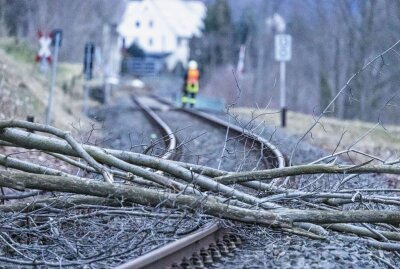 Sturmtief Ulf: Baum drohte auf Gleis der Erzgebirgsbahn zu fallen - Sturmtief Ulf sorgt für Behinderungen der Erzgebirgsbahn. Foto: Bernd März