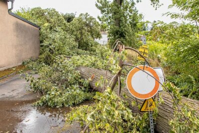 Sturmtief "Xan" verursacht Schäden: Umgestürzte Bäume im Erzgebirge und Zwickau - Umgestürzter Baum in Neukirchen. Foto: André März