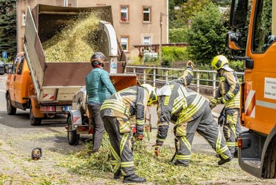 Sturmtief "Xan" verursacht Schäden: Umgestürzte Bäume im Erzgebirge und Zwickau - 2Sturmschäden in Gersdorf. Foto: André März