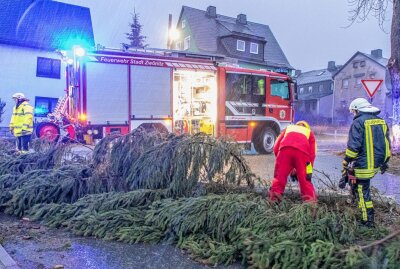 Sturmtief "Ylenia" sorgt in Zwönitz für mehrere Feuerwehreinsätze - Der Baum versperrte die Straße. Foto: André März
