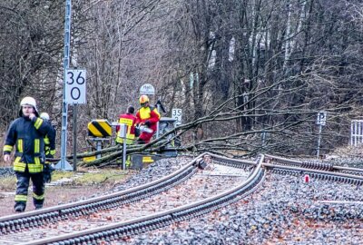 Sturmtief "Ylenia" sorgt in Zwönitz für mehrere Feuerwehreinsätze - Ein Baum war auf die Gleise gekippt. Foto: André März