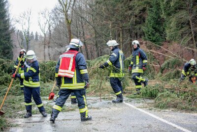 Sturmtief "Ylenia" wütet in der Region: Bäume krachen auf fahrende Autos - Auf der S277 ist die Feuerwehr im Dauereinsatz, da immer wieder durch die starken Böen Bäume auf die Straße stürzen. Foto: B&S