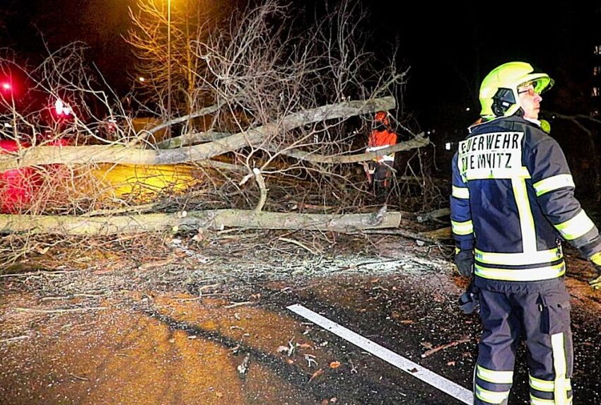 Sturmtief "Zeynep" sorgt in Chemnitz für etliche Feuerwehreinsätze - Ein Baum stürzte auf die Fahrbahn. Foto: ChemPic