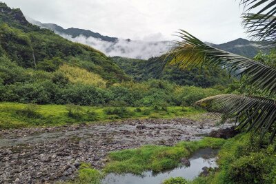 Südsee ungeschminkt: Auf der Suche nach dem echten Tahiti - Palmenwedel und Geröll: Landschaft im Papenoo Valley.