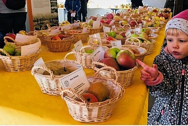 Süßer Genuss und Handwerkskunst: Zwei Tage rund um den Apfel in Chemnitz - Am Wochenende gibt es im Tietz eine große Apfelausstellung Foto: Steffi Hofmann