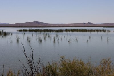 T-Shirt für die Völlerei: Auf dem einsamsten Highway der USA - Mitten in der Wüstenregion befindet sich ein Naturschutzgebiet mit reichlich Wasser: Stillwater National Wildlife Refuge.