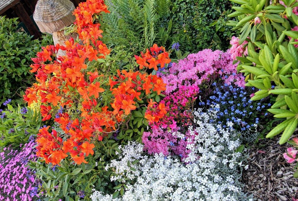 Blühende Gärten, schmackhafte, gesunde Kräuter - vieles gibt es beim 6. "Tag der offenen Gärten" zu entdecken. Foto: Andrea Funke