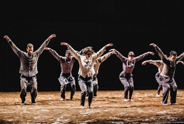 Die Vertigo Dance Company aus Israel ist am 7. Juli im Opernhaus zu erleben.Foto: Theater Chemnitz/Rune Abro