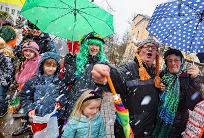Tausende Narren waren beim 28. Plauener Carnevalsumzug auf der Straße - Trotz Regen herrschte tolle Stimmung an der Strecke. Foto: Thomas Voigt