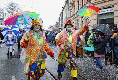 Tausende Narren waren beim 28. Plauener Carnevalsumzug auf der Straße - Die Clowns von der Greizer Faschingsgesellschaft waren bei bester Laune. Foto: Thomas Voigt