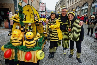 Tausende Vogtländer beim 27. Plauener Karnevalsumzug dabei - Dieser Bienenschwarm aus Töpen hatte beim Gastspiel in der Spitzenstadt jede Menge Spaß. Foto: Thomas Voigt