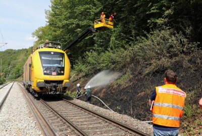 Tharandt: Äste in Oberleitung fangen Feuer und entfachen Brand an Bahnstrecke - Am Samstag kam es an der Bahnstrecke bei Tharandt zu einem Brand. Foto: Roland Halkasch