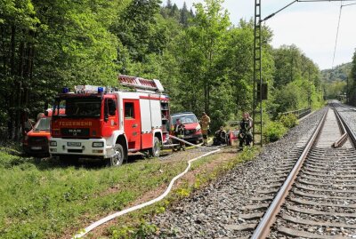 Tharandt: Äste in Oberleitung fangen Feuer und entfachen Brand an Bahnstrecke - Am Samstag kam es an der Bahnstrecke bei Tharandt zu einem Brand. Foto: Roland Halkasch