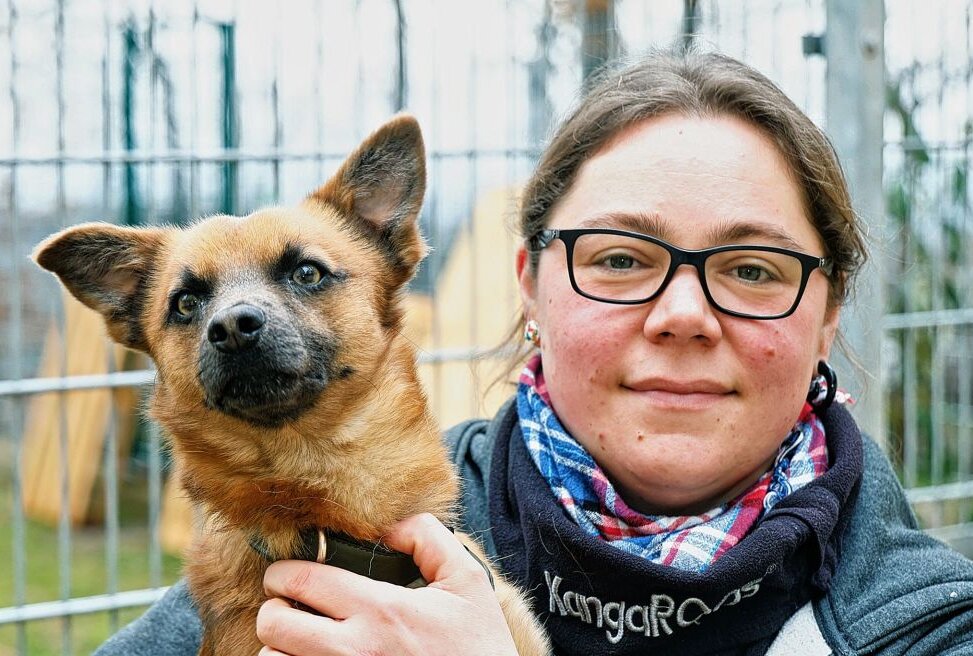 Tierheim Langenberg: Viele Tiere warten auf neue Besitzer - Franziska Bauch mit Hund "Mimo". Foto: Markus Pfeifer
