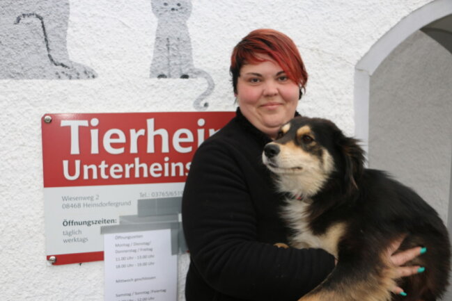 Tierheim Unterheinsdorf bittet um Hilfe - 