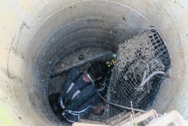 Tierische Rettungsaktion im Kurpark Bad Schlema - In Bad Schlema wurde ein Entenküken aus einem Überlauf gerettet. Foto: Niko Mutschmann