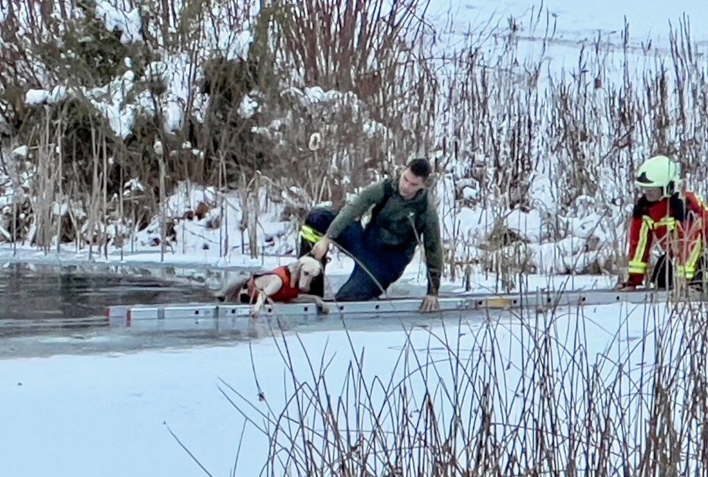 Tierische Rettungsaktion in Bad Schlema: Feuerwehr rettet Hund aus gefrorenem See - Feuerwehr rettet Hund aus gefrorenen See in Bad Schlema. Foto: Daniel Unger