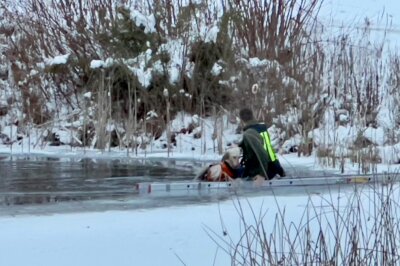 Tierische Rettungsaktion in Bad Schlema: Feuerwehr rettet Hund aus gefrorenem See - Feuerwehr rettet Hund aus gefrorenen See in Bad Schlema.