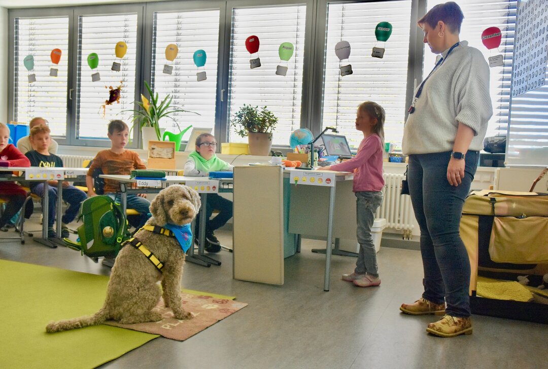 Tierische Unterstützung: Wie der treue Schulhund Barni für eine positive Lernatmosphäre sorgt - Schulhund Barni ist Teil des Unterrichts. Foto: Steffi Hofmann