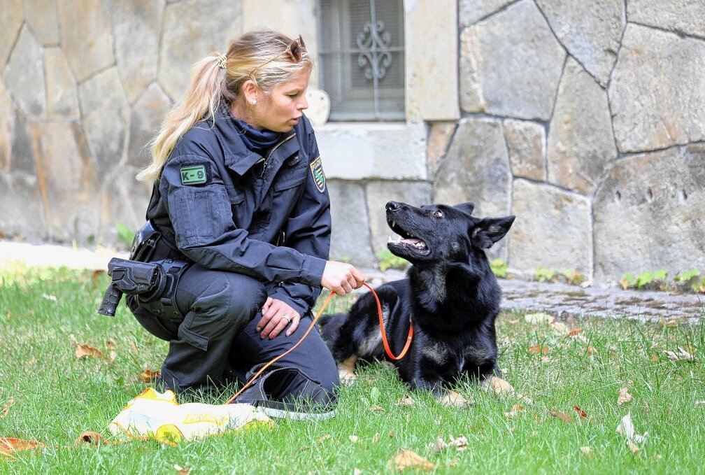 Fährtensuchhund Frodo findet die zwei vermissten Senioren. Foto: Polizeidirektion Chemnitz