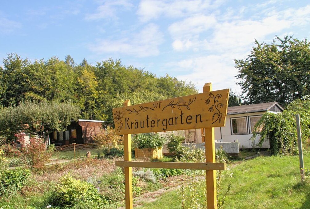 Tipps zum Gärtnern bei den Kleingartenfreunden Waldesfrieden - Vielfältige Auswahl im Kräutergarten des Vereins. Foto: Funke/Archiv