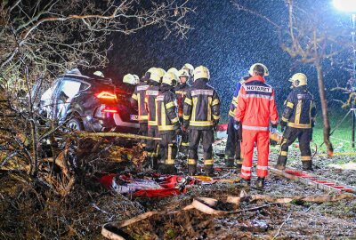Tödlicher Unfall auf Autobahn: BMW kommt von Fahrbahn ab - Tödlicher Unfall auf der A14. Foto: EHL Media