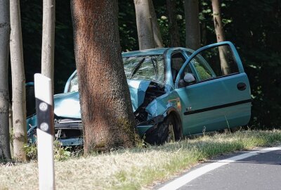 Tödlicher Unfall bei Freital: PKW kollidiert mit mehreren Bäumen - Auf der S194 kam es heute Mittag zu einem Unfall. Foto: Roland Halkasch