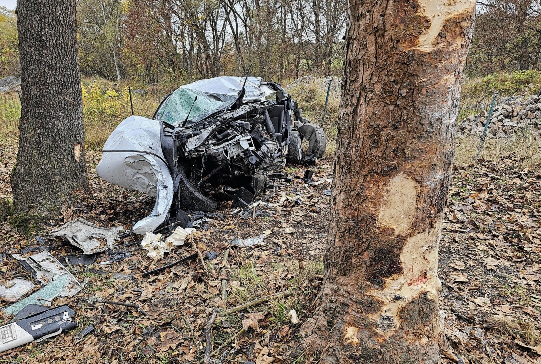 Tödlicher Unfall im Vogtland: Senior prallt mit Auto gegen Baum - Ein 71-Jähriger verstarb bei einem Verkehrsunfall. Foto: Mike Müller