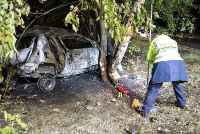 Tragischer Unfall: PKW prallt gegen Baum und geht in Flammen auf - 