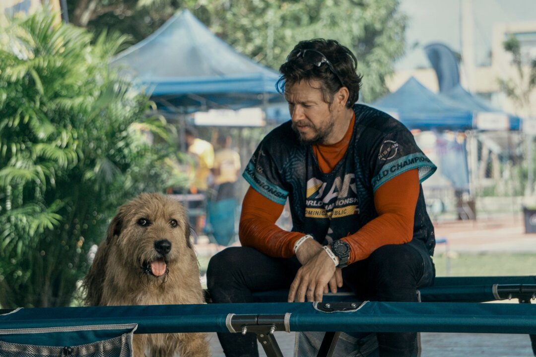 Trotz Tierhaar-Allergie: Mark Wahlberg liebt seine Hunde - Mark Wahlberg als Michael in einer Szene des Films "Arthur der Große". Der Schauspieler setzt sich für die Adoption von Haustieren ein.