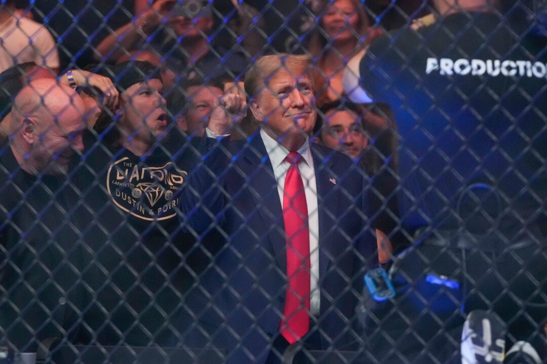 Trump: Gefängnis wäre für mich in Ordnung - Trump hinter Gittern? Hier besucht der ehemalige US-Präsident einen UFC-Käfigkampf.