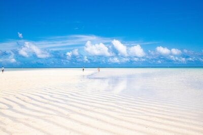 Die Strände auf der japanischen Insel Yoron sind mit glasklarem Wasser und traumhaftem, weißen Sand die schönsten in Japan. Insgesamt findet man auf der Insel über 60 Strände, die zum Sonnenbaden einladen. Das Meer ist perfekt zum Schwimmen, Schnorcheln, Tauchen und Meerestiere beobachten.