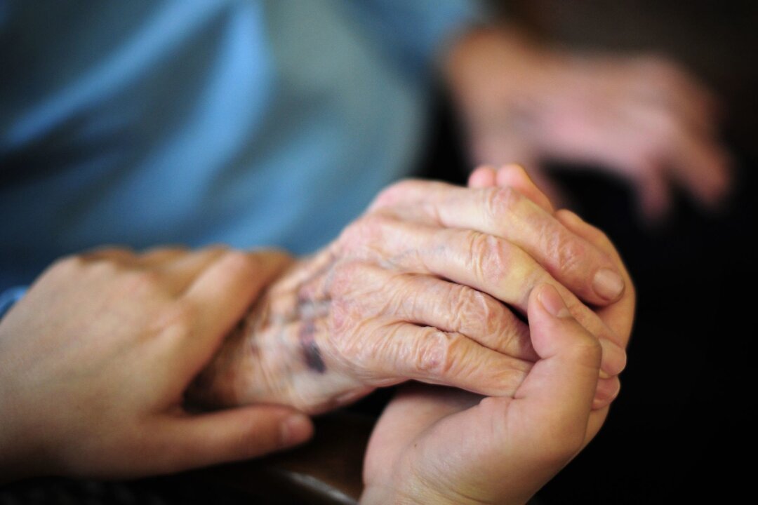 Über 260.000 Menschen in Sachsen von Angehörigen gepflegt - Eine Pflegekraft hält in einem Seniorenheim die Hand einer Bewohnerin.