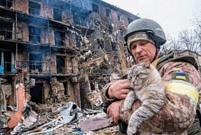 Ukrainer flüchten mit Haustieren: Wohin mit den Vierbeinern am Ziel? - Soldat rettet Katze aus Trümmern. Foto: Screenshot Facebook