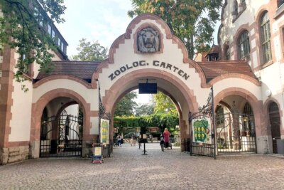 Umfrage: Das sind die Top 10 beliebtesten Ausflugsziele in Sachsen - Platz 6: Zoo Leipzig.