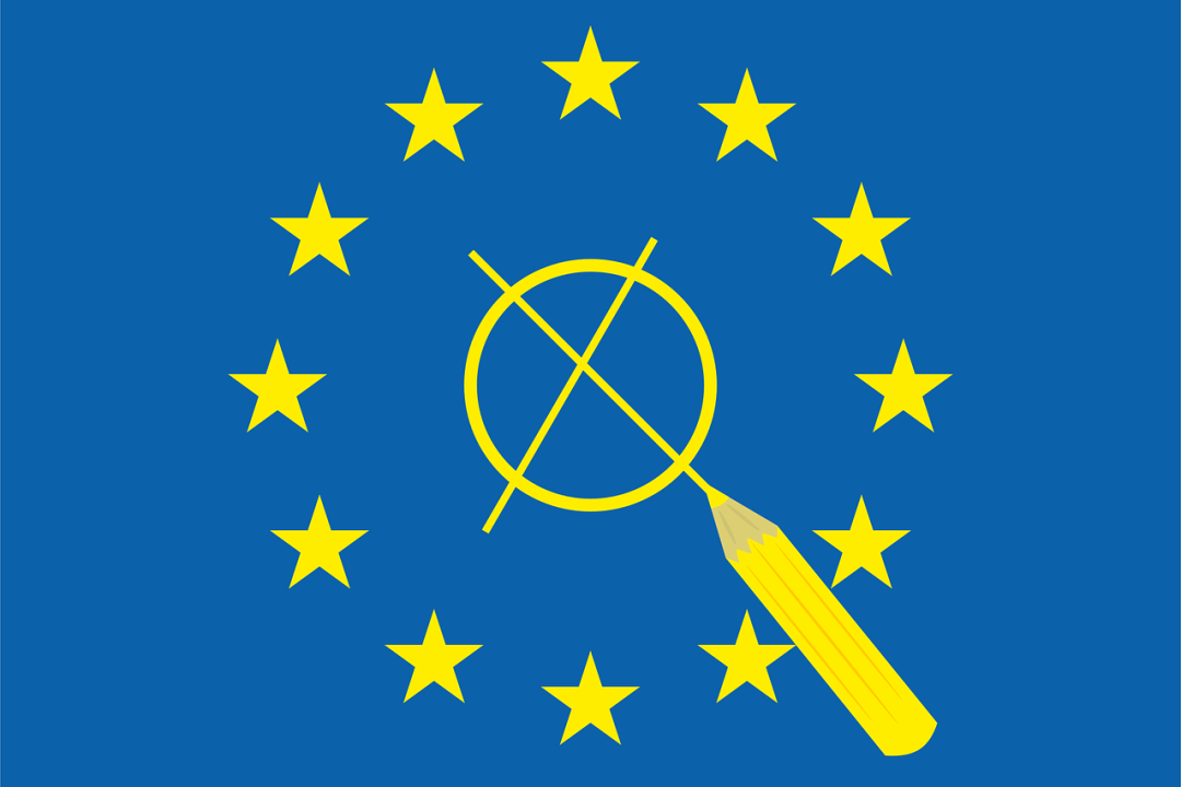 Umfrage zur Europawahl - 