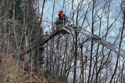 Umgestürzter Baum blockiert Kohlweg in Aue -  Der Kohleweg ist aktuell voll gesperrt. Der Einsatz dauert noch an. 