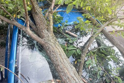 Umgestürzter Baum verursacht hohen Sachschaden - Am Montagabend hat ein umgestürzter Baum einen hohen Sachschaden angerichtet. Foto: xcitepress