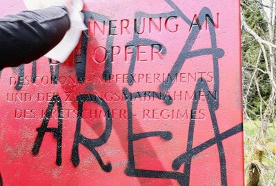 Unbekannte sprayen Farbe auf fragwürdiges "Denkmal" der Freien Sachsen - Unbekannte haben am Georgenfelder Weg einen Stein samt Inschrift mit Farbe besprüht. Foto: Marko Förster